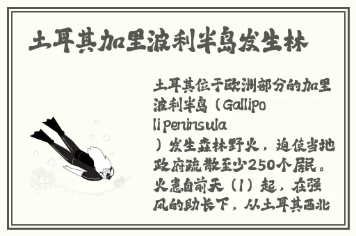538国产亚洲欧美日韩精品
